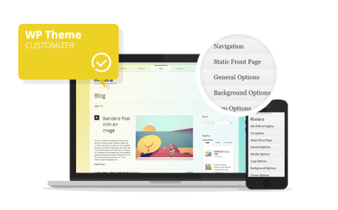 wp-customizer