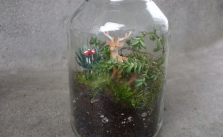 terrarium craft