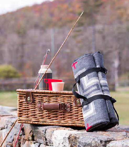 picnic blanket